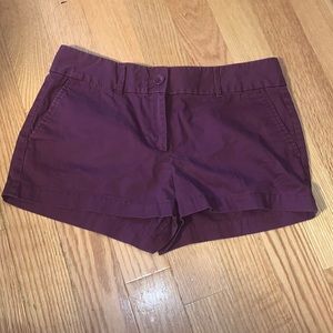 Ann Taylor Loft The Riviera Shorts Plum